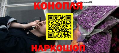 дмт Железногорск